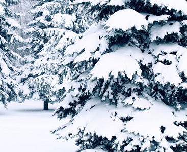 冬季风景与雪