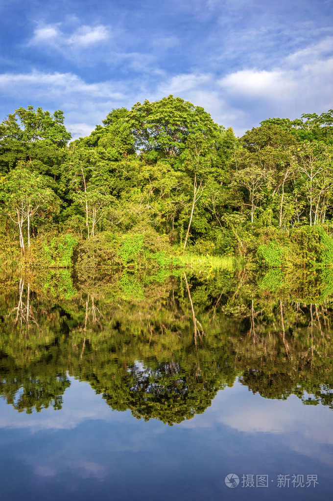 在雨林,秘鲁,南美洲的亚马逊河