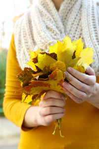 美丽的秋天的树叶在手，在户外