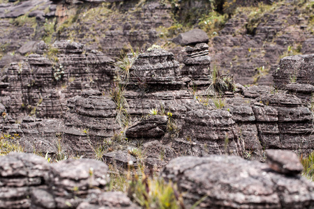 奇怪古岩石高原罗赖马 tepui委内瑞拉，拉美国家