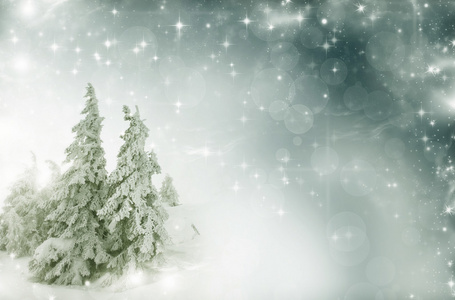 冬季景观雪覆盖了树和满天星辰