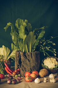 静物蔬菜 香草和水果