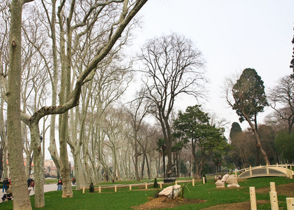在伊斯坦布尔，土耳其居尔哈内公园