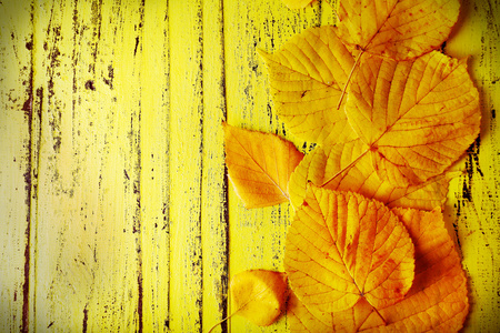秋天的落叶上棕色的黄色背景