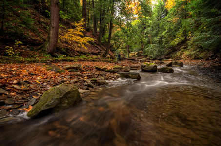 秋季森林溪流图片