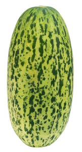 新鲜 mushkmelon