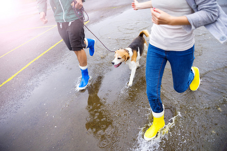 夫妇在雨中遛狗