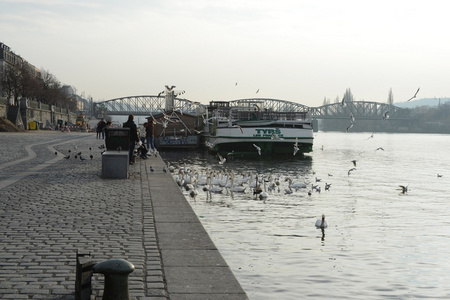 布拉格。伏尔塔瓦河河