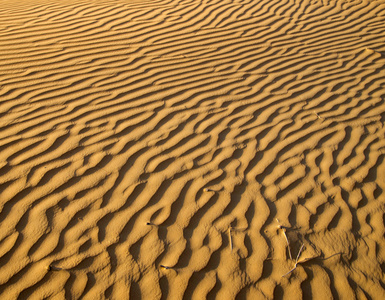 在黄金沙漠砂纹理照片