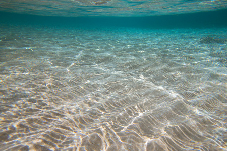 宁静的水下场景