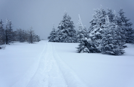 埋在雪下的行山径