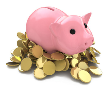 钱框猪用金币照片