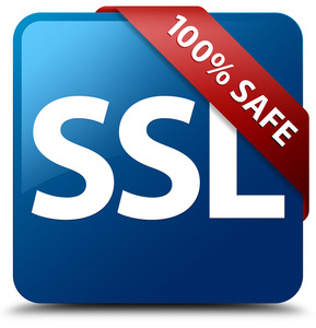 100安全 Ssl 有光泽的蓝色方形按钮