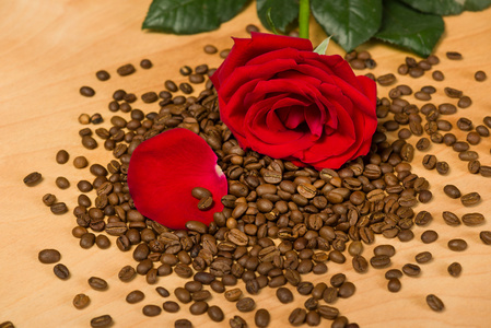 红玫瑰咖啡种子和木制背景