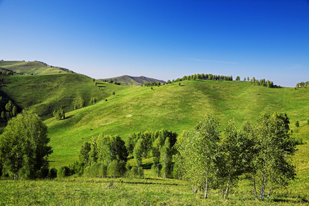 绿色的群山下的风景