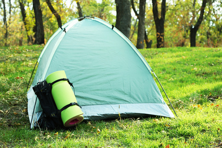 在一片森林的绿色草地上的旅游帐篷