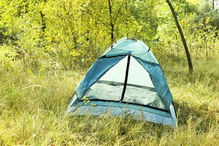 在一片森林的干草地上的旅游帐篷