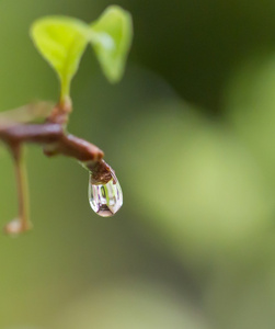 水滴