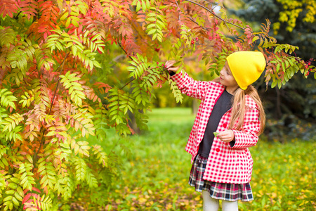可爱的小女孩，在美丽的秋日户外活动