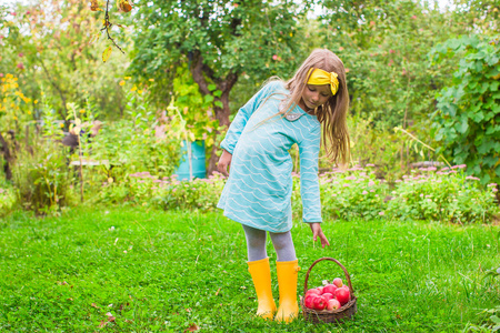 篮子里的苹果在阳光明媚的秋日的小女孩