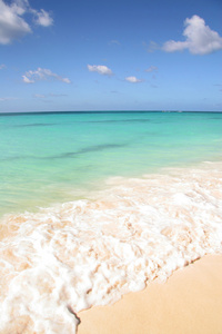 美丽的白色沙滩和绿松石海  蓝蓝的天空，阿鲁巴