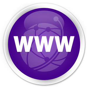 Www 全球网络图标 紫色按钮