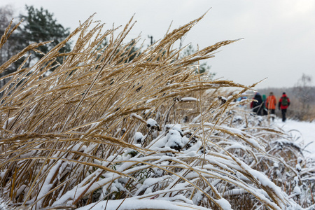 第一层冰雪