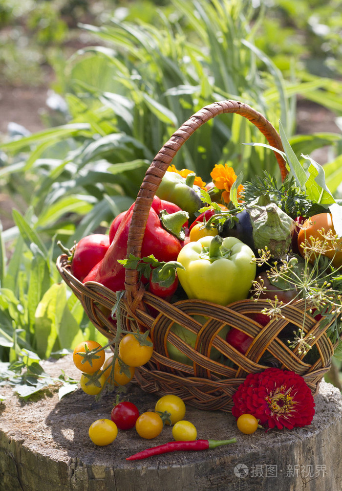 新鲜蔬菜在柳条篮