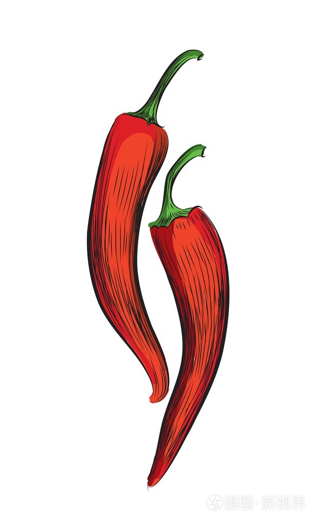 辣椒矢量图