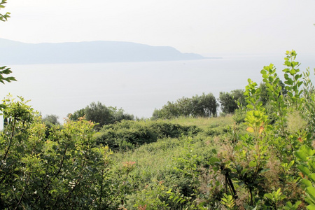 湖泊风景