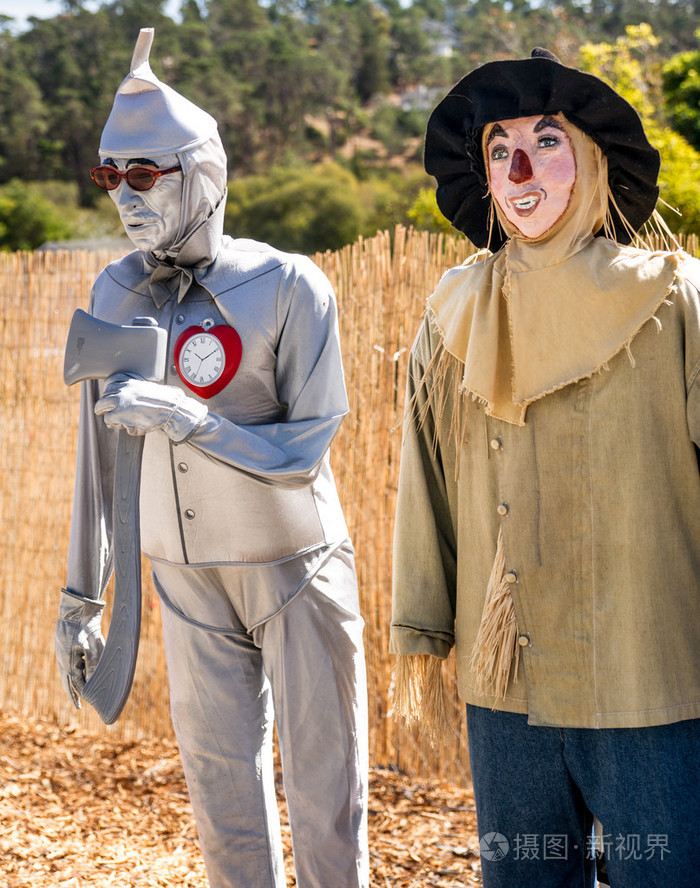 稻草人, 铁皮人