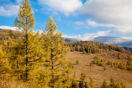 阿尔泰山 sarlyks 的视图