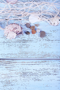 贝壳特写蓝色木桌上的装饰