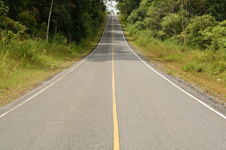 在山的路