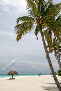 马尔代夫海滩视图