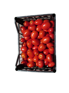 西红柿在白色背景上的框中