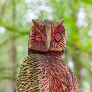 老木雕刻的猫头鹰