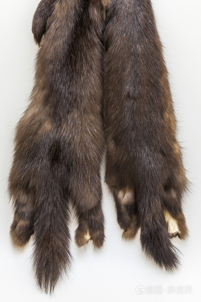 准备的产品定制的一个黑貂的皮毛