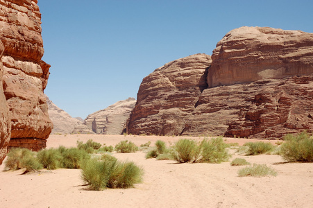 瓦迪朗姆酒景观 Jordan