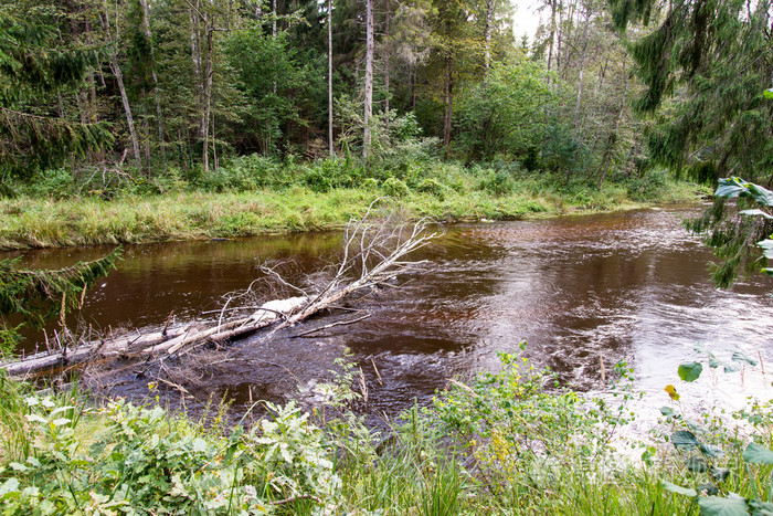 查看到山区河流流动水流与砂岩基质酸化
