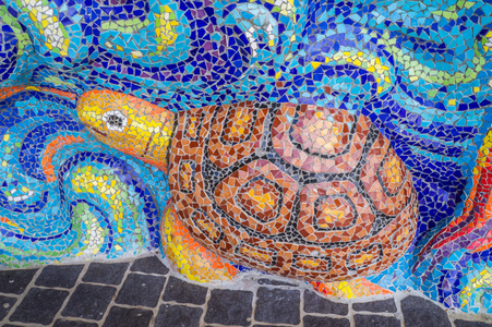 釉面内的墙砖海龟保护区墙上的艺术