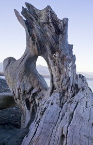 荒野海滩