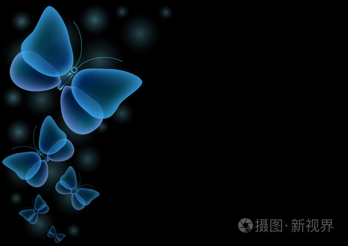 在黑色背景上的蓝色飞蛾