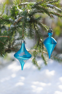 冷杉的树枝上蓝色的圣诞球