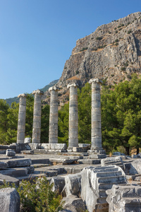 庙宇和神殿的雅典娜 Polias