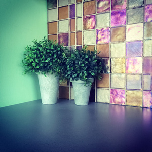 绿色植物装饰厨房