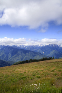 飓风岭