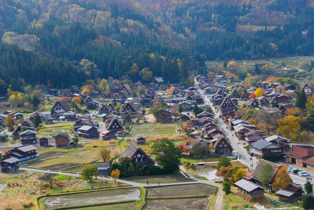 历史村庄的白川方明走在秋天