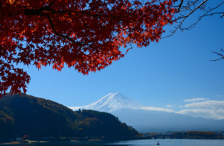 富士山和秋天在河口湖
