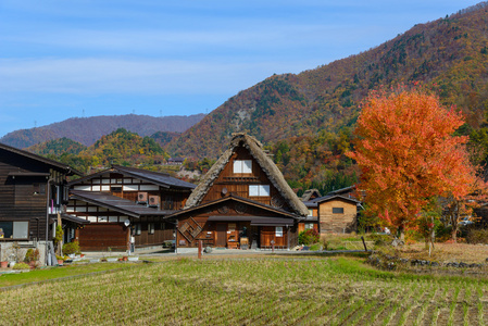 历史村庄的白川方明走在秋天